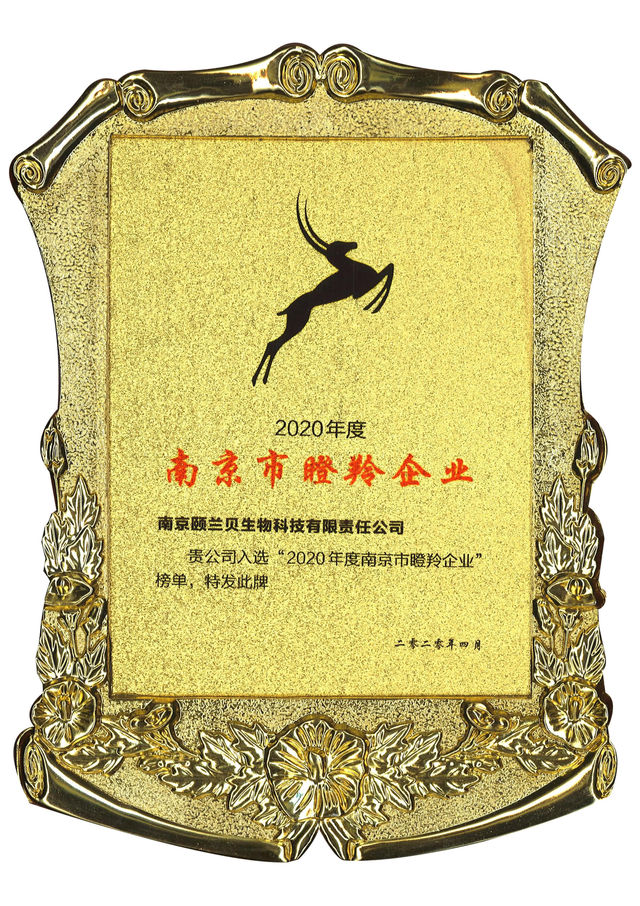 瞪羚企業(yè)證書(shū)